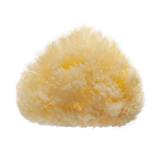 Esponja Natural Baño